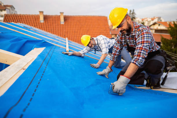 Best Storm Damage Roof Repair  in Stevensville, MT